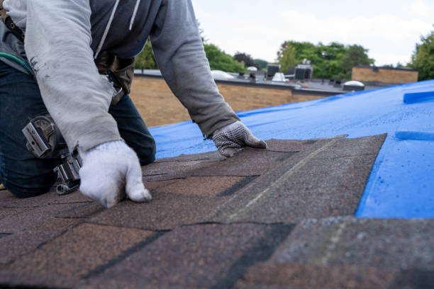 Best Residential Roofing Contractor  in Crystal Lawns, IL