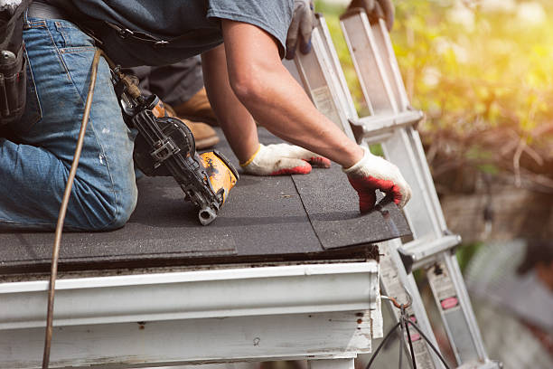 Professional Roofing Contractor in Crystal Lawns, IL